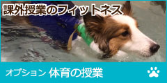 体育の授業